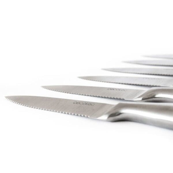 Conjunto de 6 Facas de Cozinha Profissional de Carne Cecotec - Image 2
