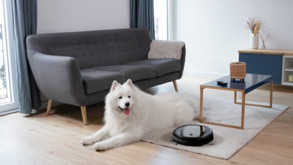 Conga 2290 Ultra Home - Image 11