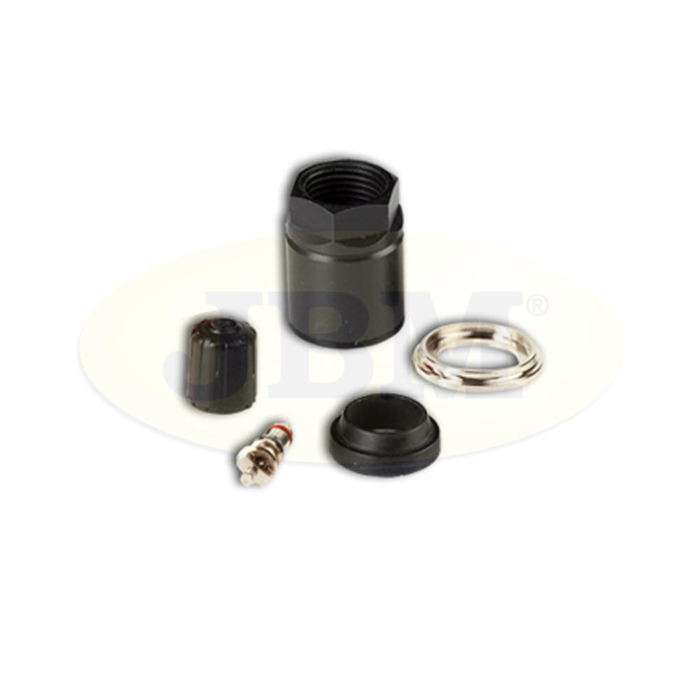 SET DE REPARAÇÃO TPMS VDO TG1B